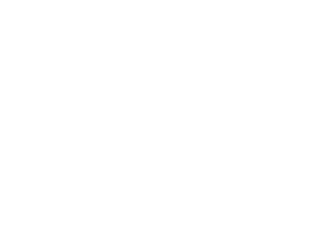 Auto Zastępcze